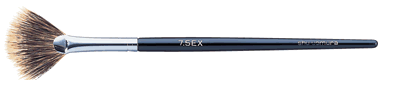 Makeup Brushes, Part VIII: Fantastic Fan Brushes